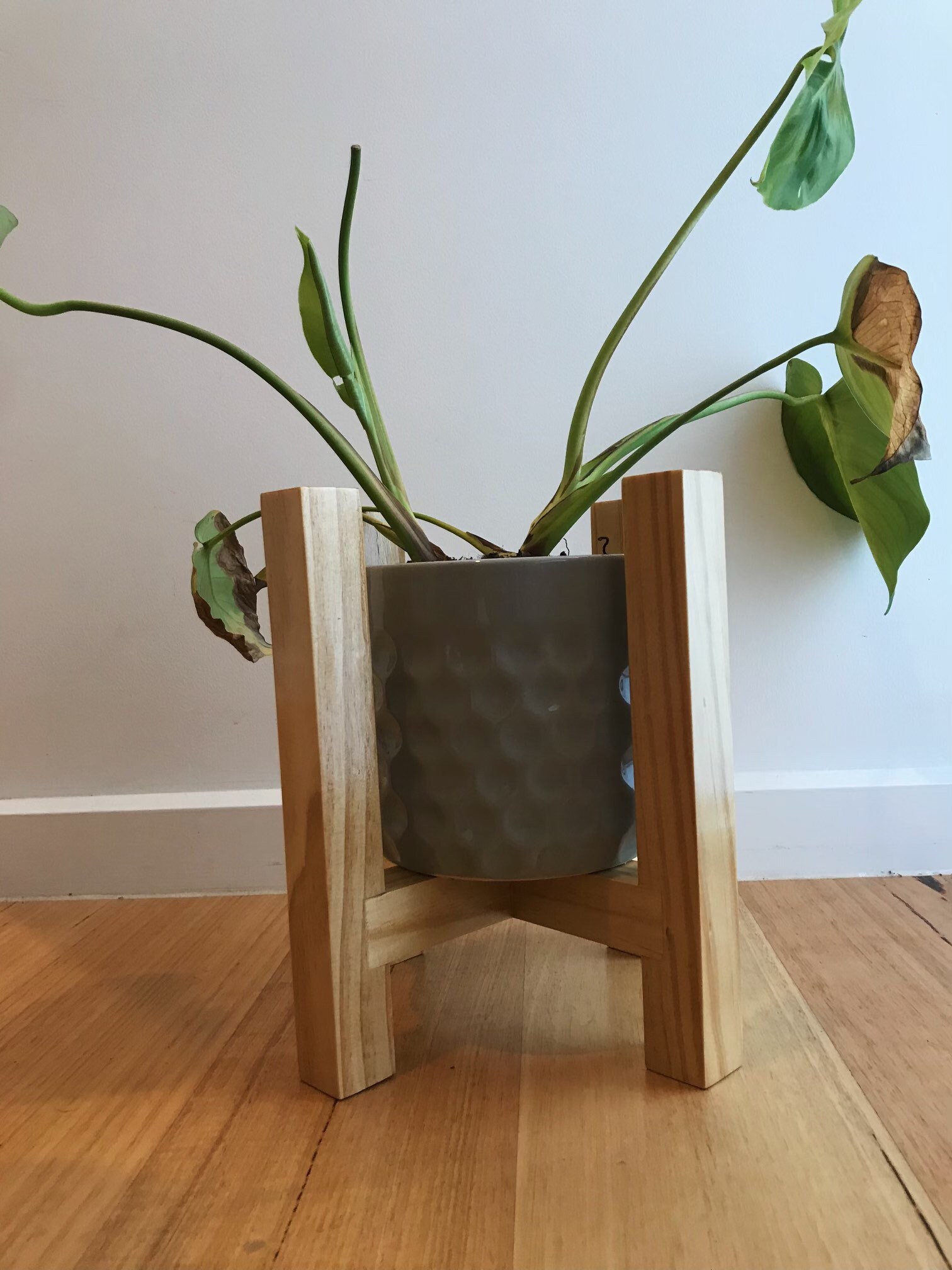 Contemporary Plant Stand Australian Pinewood Etsy