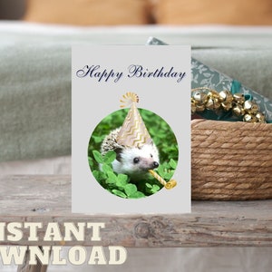 Cartão de aniversário de ouriço para impressão - Cartões de aniversário de animais engraçados - DOWNLOAD INSTANTÂNEO