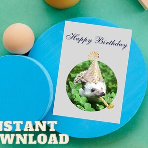 Hedgehog Birthday PRINTABLE Card - Funny Animal Birthday Cards ...