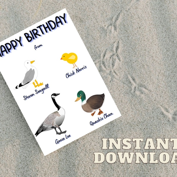 Funny Martial Arts Birthday Printable Card - Chick Norris - Steven Seagull - Goose Lee - Quackie Chan - Funny Pun Card