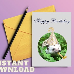 Hedgehog Birthday PRINTABLE Card - Funny Animal Birthday Cards ...