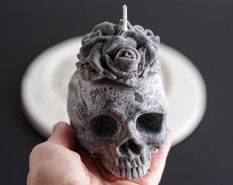 Clear Quartz Crystallized Partial Rabbit Oryctolagus cuniculus Skull