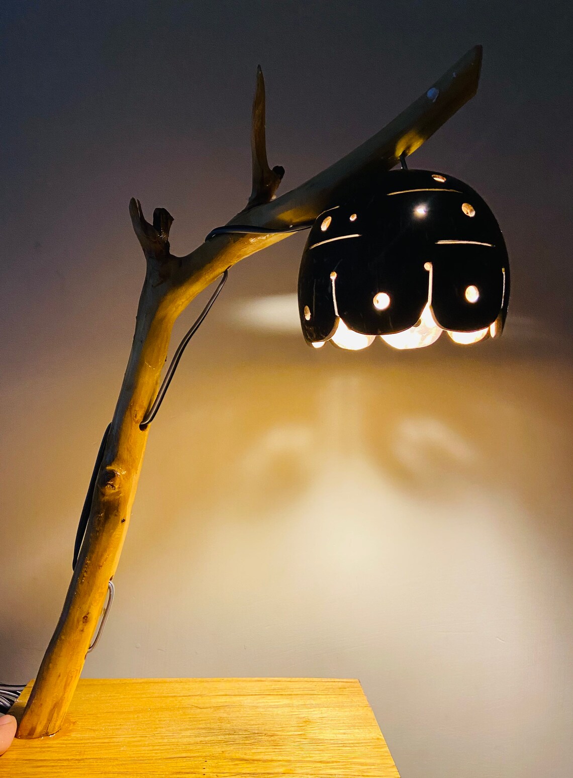 Unique Coconut Shell Table Lamp With LED Vintage Lamp Etsy