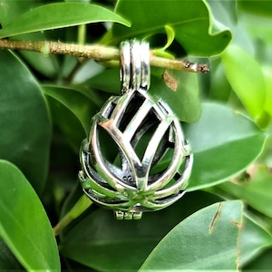Peut inclure: Un pendentif en argent en forme de cage à breloques avec un design délicat et complexe. La cage est ouverte en haut et en bas, permettant d'insérer de petits breloques ou des perles.