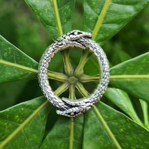 Bague Ouroboros en argent sterling 925 Serpent Ouroboros mangeant la queue cercle de vie mort et renaissance symbole sacré amulette talisman