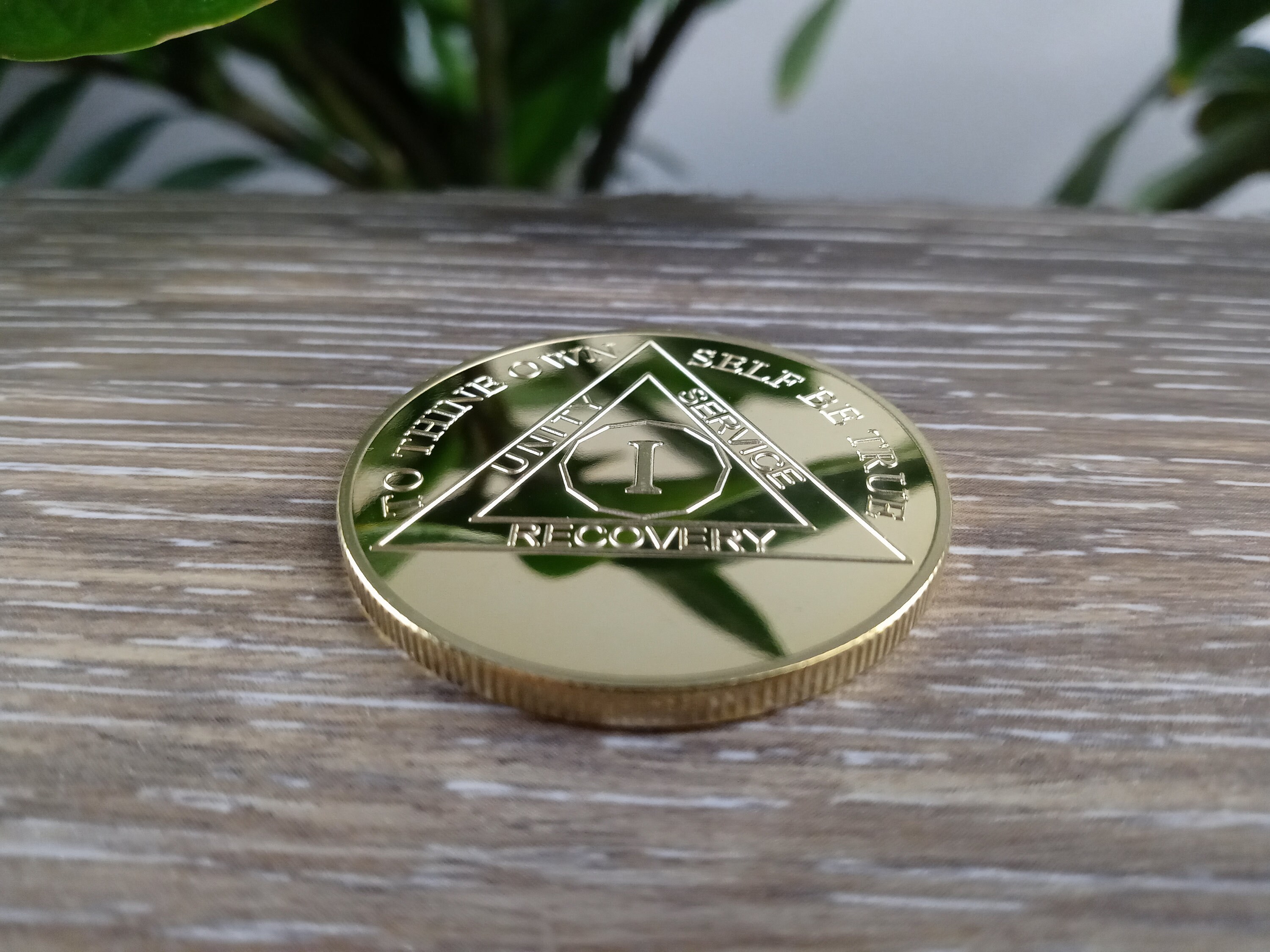 Recovery Coin 1 Year Pocket Token Gold Plated Keepsake | Etsy