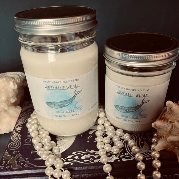 Wisdom of Whale: Animal Medicine. Shamanic Healing & Energy Work to Connect you with Whale Energy and Wisdom.