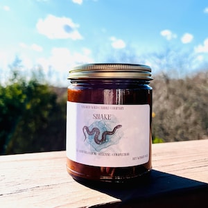 Snake Wisdom Candle. Power Animal. Shamanic Healing & Energy Work Release and Full Circle. Animal Guide.