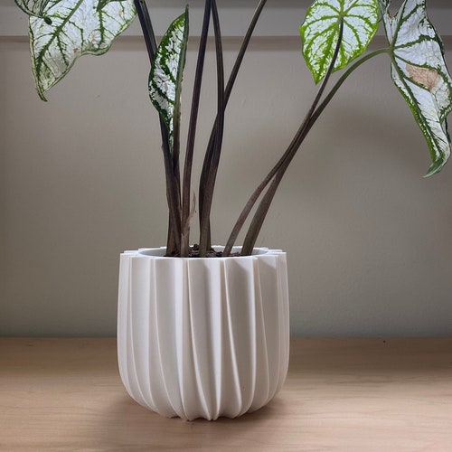 3D Printed Parametric Minimalist Vase curvy Lady - Etsy