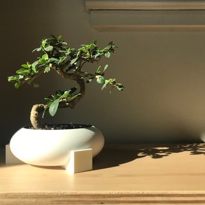 3D Printed Parametric Minimalist Bonsai Pot "Bonnie"