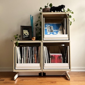 Standard Cabinet for Vinyl & All Purpose Crates