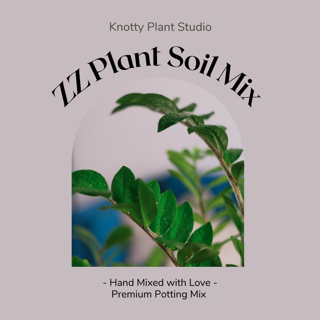 ZZ Plant Soil Mix Custom Soil Organic Soil Houseplant Growing Soil Premium Soil/medium Home Made