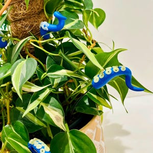 May include: A potted houseplant with vibrant green and white leaves, adorned with several blue, tentacle-shaped plant clips. The plant is in a decorative beige pot, creating a whimsical and unique aesthetic for indoor decor.