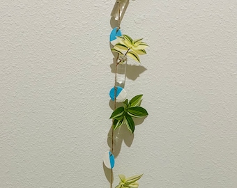 Clay & Glass Vermehrungsstation - Wandbehang mit 4 Vasen