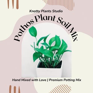 Pothos Soil Mix - Custom Soil - Organic Soil - Houseplant Growing Soil - Premium Soil/Medium - Home Made Blend - 7 Inch x 10.25 Inch Bag