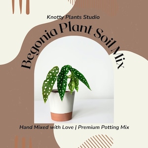May include: A white pot with a terracotta base containing a green polka dot begonia plant. The pot is sitting on a white surface. The text "Knotty Plants Studio" is at the top of the image, and the text "Begonia Plant Soil Mix" is in a curved arch around the plant. The text "Hand Mixed with Love | Premium Potting Mix" is at the bottom of the image.