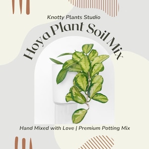 Hoya Soil Mix - Custom Soil - Organic Soil - Houseplant Growing Soil - Premium Soil/Medium - Home Made Blend - 7 Inch x 10.25 Inch Bag