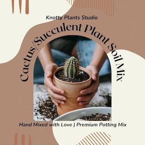 Cactus/Succulent Plant Soil Mix - Custom Soil - Organic - Houseplant Growing Soil - Premium Soil - Home Made Blend - 7 Inch x 10.25 Inch Bag