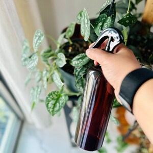 Puede incluir: Una botella de spray de vidrio marr&oacute;n con un pulverizador de gatillo negro. La botella est&aacute; siendo sostenida por una mano y se est&aacute; utilizando para rociar una planta.