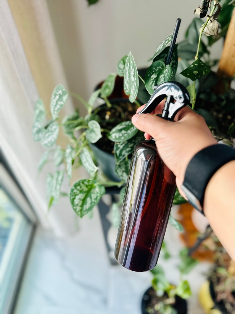 Puede incluir: Una botella de spray de vidrio marr&oacute;n con un pulverizador de gatillo negro. La botella est&aacute; siendo sostenida por una mano y se est&aacute; utilizando para rociar una planta.