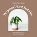 see more listings in the Plant Soil section