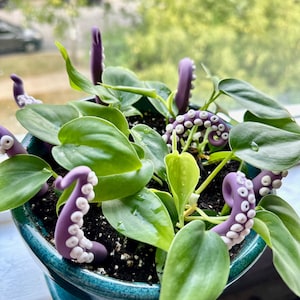 Plant tentacle - Etsy 日本