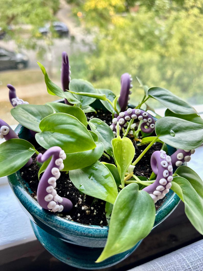 May include: A potted plant with green leaves and purple octopus-shaped plant stakes. The plant is in a teal pot and is sitting on a windowsill.