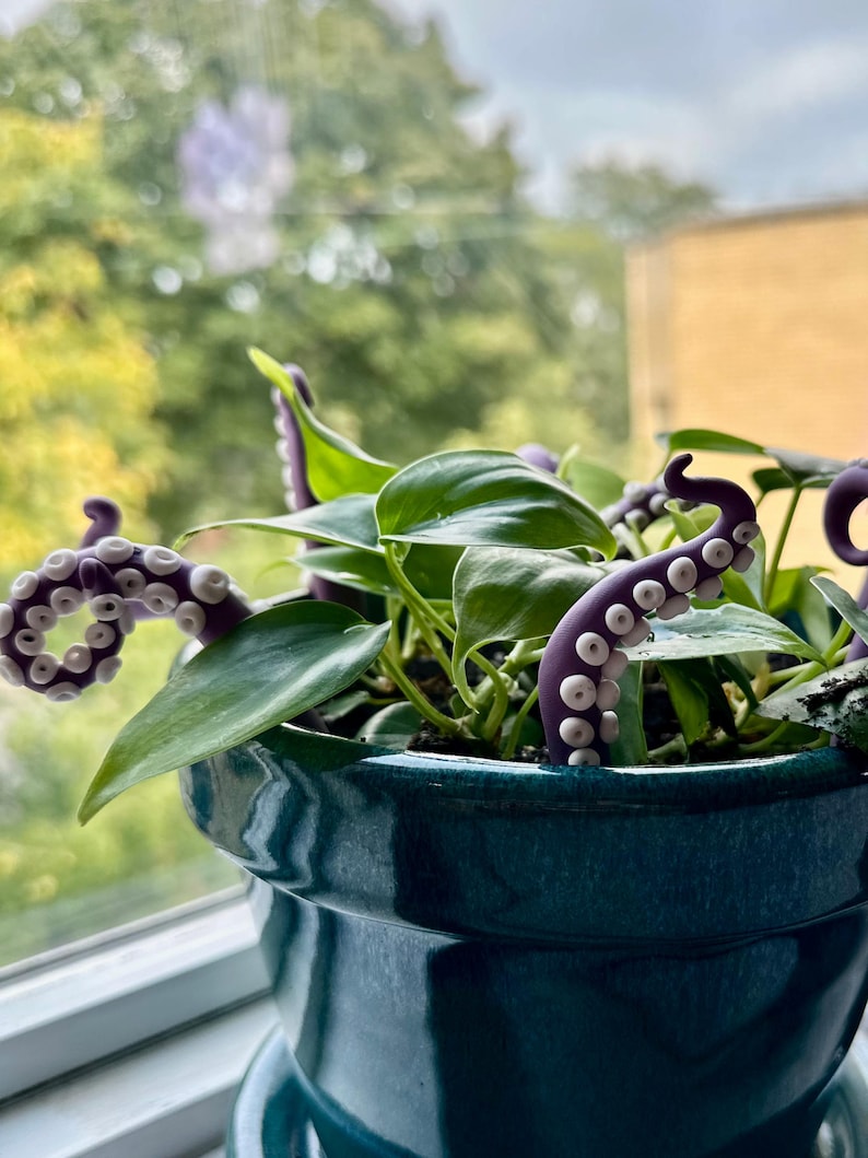 May include: A green ceramic pot with a leafy green plant. Three purple octopus tentacles with white suction cups are wrapped around the plant.