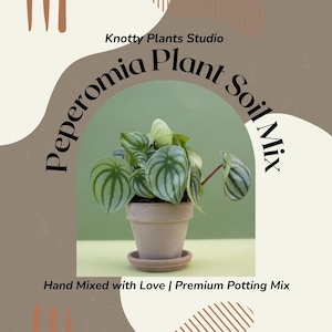 Peperomia Soil Mix - Custom Soil - Organic Soil - Houseplant Growing Soil - Premium Soil/Medium - Home Made Blend - 7 Inch x 10.25 Inch Bag