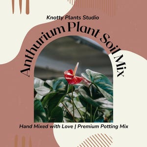 Anthurium Soil Mix - Custom Soil - Organic Soil - Houseplant Growing Soil - Premium Soil/Medium - Home Made Blend - 7 Inch x 10.25 Inch Bag