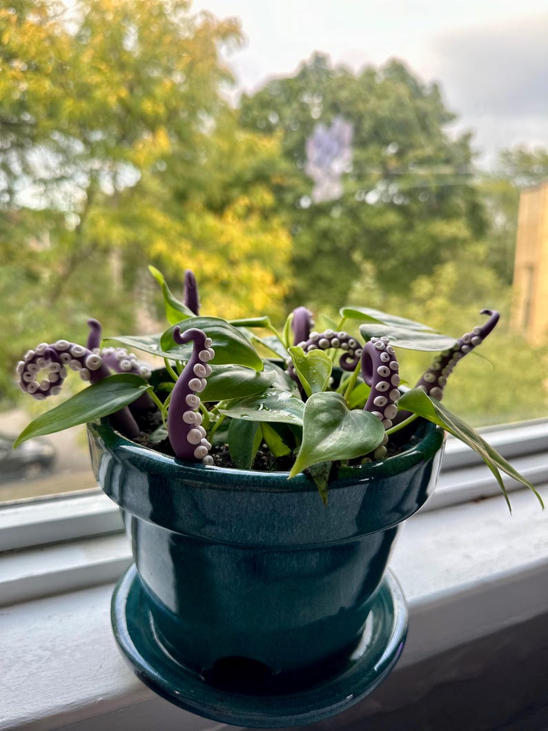 May include: A green ceramic pot with a plant growing out of it. The plant has several purple octopus tentacles with white suction cups.