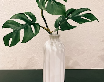 Contenedor de cerámica para propagación de plantas: Moderno recipiente para enraizar con agua, fabricado en EE. UU.