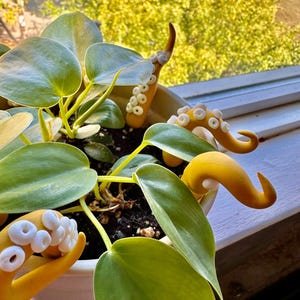 May include: A potted plant with large green leaves and yellow octopus-shaped plant stakes. The plant is in a white pot and is sitting on a windowsill.