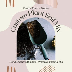 Custom Plant Soil Mix - Custom Soil - Organic Soil - Houseplant Growing Soil - Premium Soil - Home Made Blend - 7 Inch x 10.25 Inch Bag