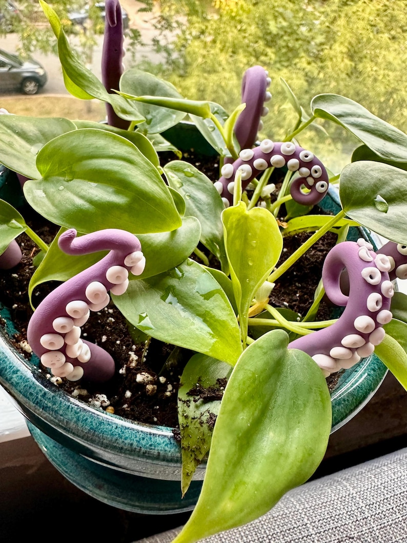 May include: Purple octopus-shaped plant stakes in a pot of green leafy plants. The stakes are made of ceramic and have white suction cups.