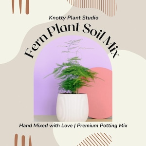 Fern Soil Mix - Custom Soil - Organic Soil - Houseplant Growing Soil - Premium Soil/Medium - Home Made Blend Gold - 7 Inch x 10.25 Inch Bag