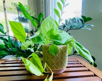 Green Leaf Ceramic Planter Pot - Modern Decorative Design - 4 Inch