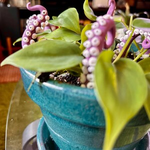 May include: A teal ceramic pot with a green plant and purple octopus figurines. The octopus figurines are placed in the soil of the plant.
