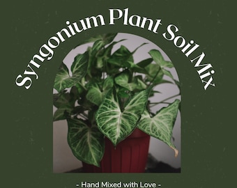 Syngonium Pflanzenerde Mischung - Benutzerdefinierte Erde - Biologische Erde - Zimmerpflanzenerde - Premium Erde - Hausgemachte Mischung - 18 x 26 cm Beutel