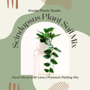Scindapsus Plant Soil Mix - Custom Soil - Organic Soil - Houseplant Growing Soil - Premium Soil - Home Made Blend - 7 Inch x 10.25 Inch Bag