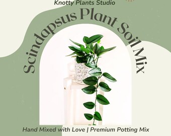 Scindapsus Pflanzenerde-Mix: Biologisch wachsende Mischung (7x10.25 Inch Bag)