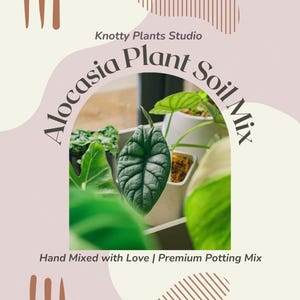 Alocasia Soil Mix - Custom Soil - Organic Soil - Houseplant Growing Soil - Premium Soil/Medium - Home Made Blend - 7 Inch x 10.25 Inch Bag