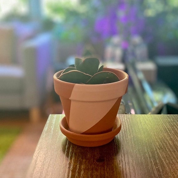 forget me not plant pot Handmade Blue Forget-Me-Not Hand Crochet Woolen Knitting Flower Pot –  Sunday's Creative main image 1