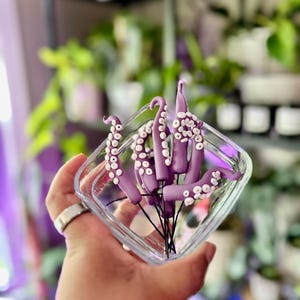 May include: A glass container filled with purple octopus tentacles with white suction cups. The tentacles are arranged in a bouquet-like shape.