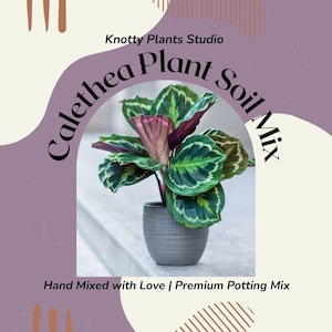 Calethea Soil Mix - Custom Soil - Organic Soil - Houseplant Growing Soil - Premium Soil/Medium - Home Made Blend - 7 Inch x 10.25 Inch Bag