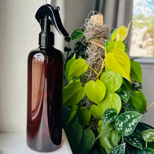 Puede incluir: Una botella de spray de vidrio marr&oacute;n con un pulverizador de gatillo negro. La botella est&aacute; llena de un l&iacute;quido transparente. La botella est&aacute; sentada sobre una superficie blanca frente a una planta verde.