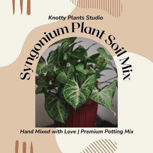 Syngonium Plant Soil Mix - Custom Soil - Organic Soil - Houseplant Growing Soil - Premium Soil - Home Made Blend - 7 Inch x 10.25 Inch Bag