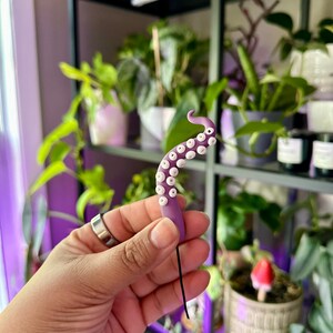 May include: A purple and white octopus tentacle charm with a black string attached. The charm is being held by a hand in front of a shelf with plants.