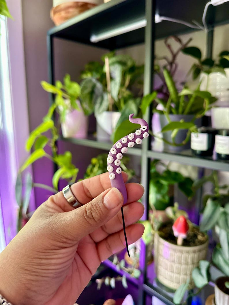 May include: A purple and white octopus tentacle charm with a black string attached. The charm is being held by a hand in front of a shelf with plants.