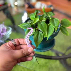 May include: A purple octopus-shaped pin with a black wire attached to the back. The pin is held in a hand, with a green potted plant in the background.